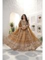 Luxe Golden Net Lehanga Set