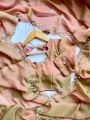 Ethnic Festival Peach Hand worked Chiffon Saree