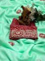 Elegant Chinnon Saree with beautiful pita work