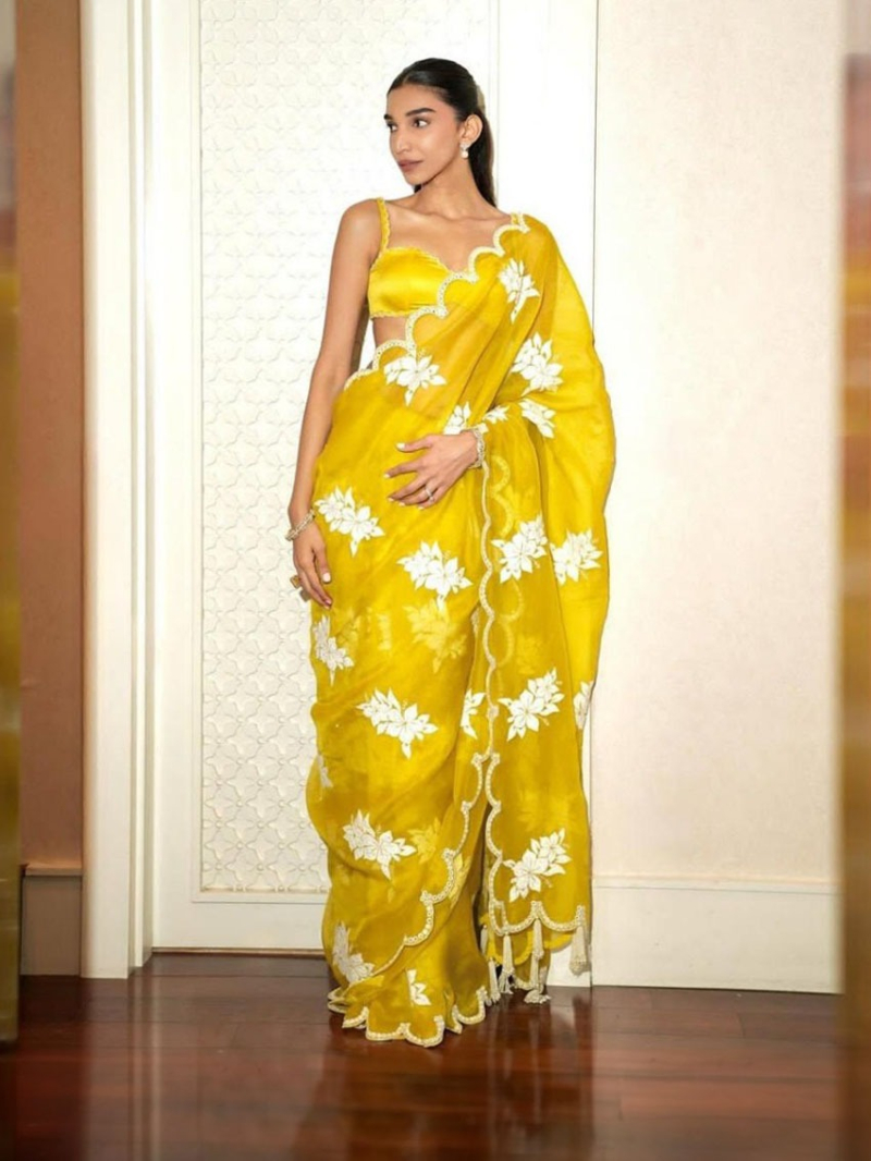 Gorgeous Multi-Thread Embroidered Saree