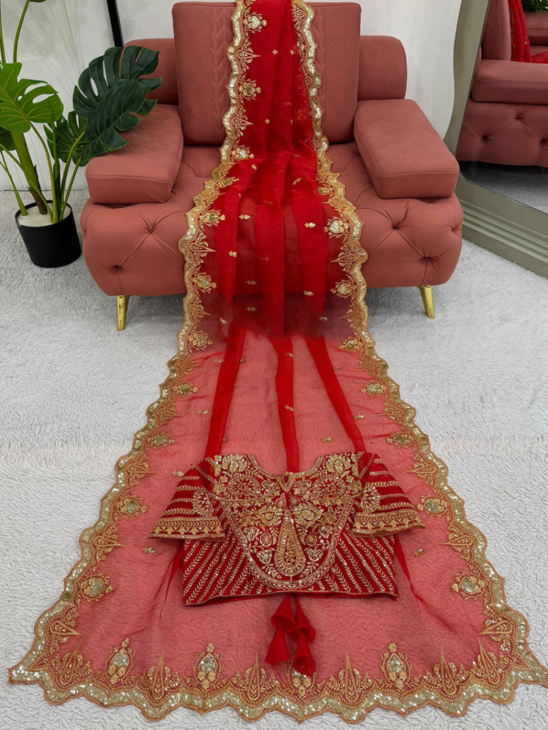Authentic Ethnic Festive Traditional Red Organza Silk Saree