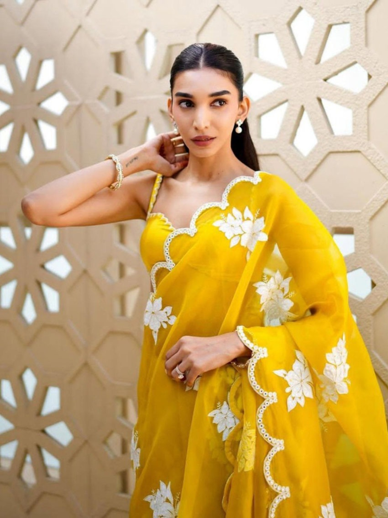 Gorgeous Multi-Thread Embroidered Saree