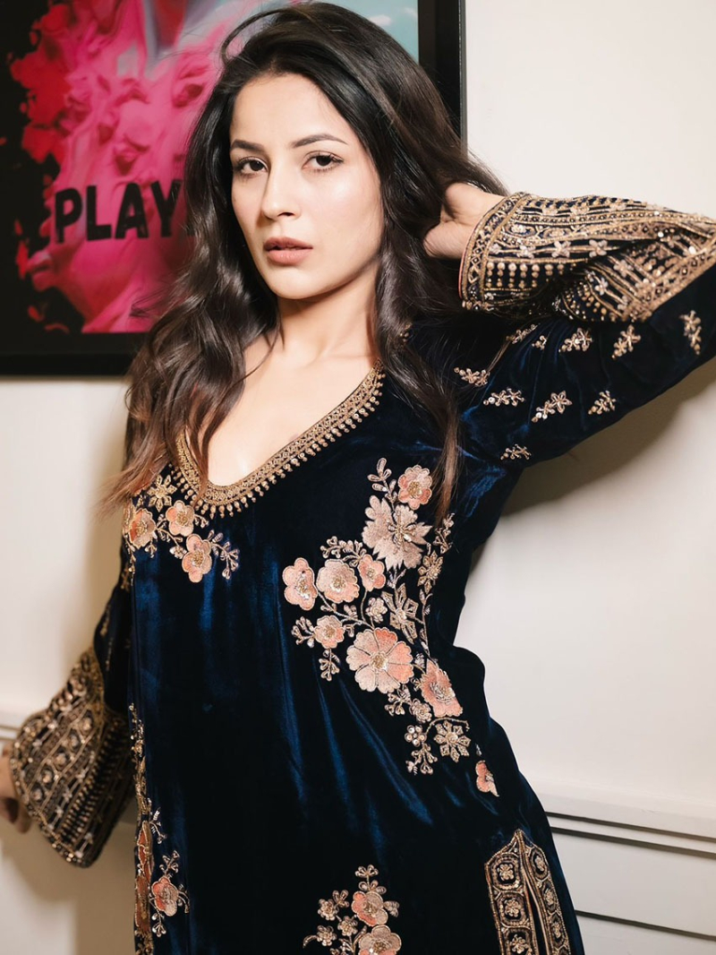 Elegant Ethnic Traditional Navy Blue Viscose Velvet Straight Suit