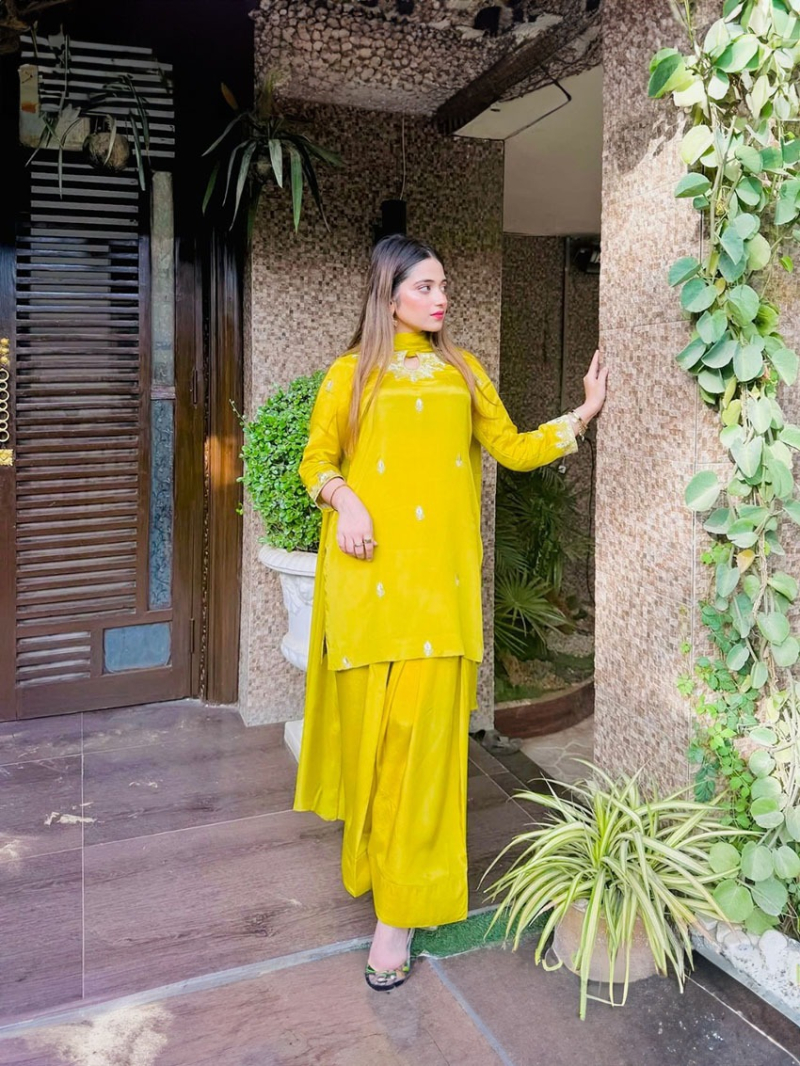 Authentic Ethnic Elegant Lime Green Stain Silk Farshi Suit